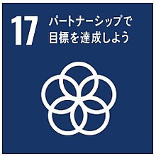 11 住み続けられるまちづくりを